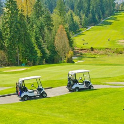 Golf game in the sun