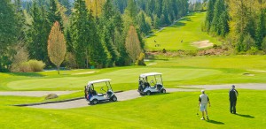 Golf game in the sun