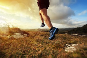 Joint replacement Denver