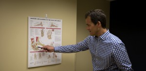 Dr. Murken researching a chart