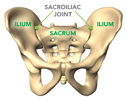 Low back pain care at Panorama Orthopedic